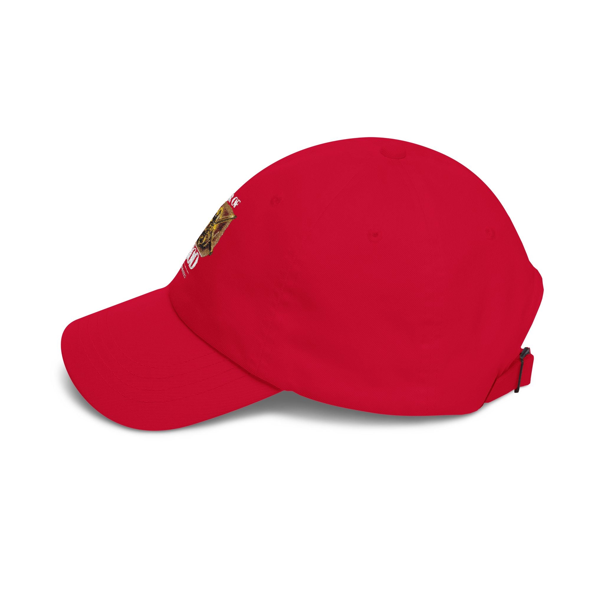 Armor of God Christian Dad Cap – Faith Baseball Hat for Men & Women
